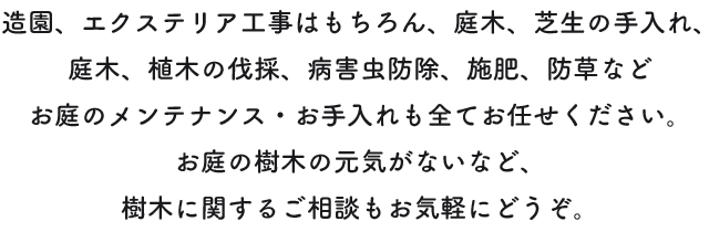 造園、エクステリア工事はもちろん、庭木、芝生の手入れ、庭木、植木の伐採、病害虫防除、施肥、防草などお庭のメンテナンス・お手入れも全てお任せください。お庭の樹木の元気がないなど、樹木に関するご相談もお気軽にどうぞ。