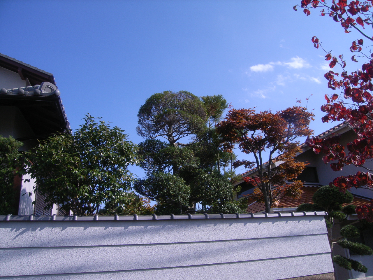 木作り剪定　引き継ぐ日本庭園 BEFORE