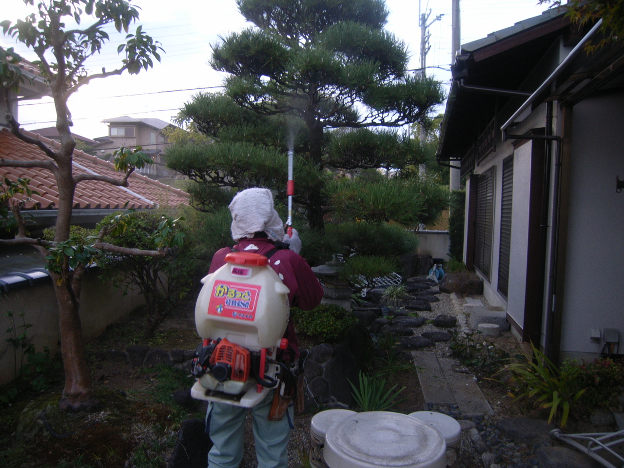 木作り剪定　引き継ぐ日本庭園 BEFORE